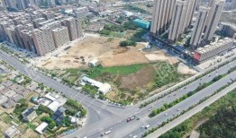 普宁网友爆料新闻,惊现惊人新闻事件！